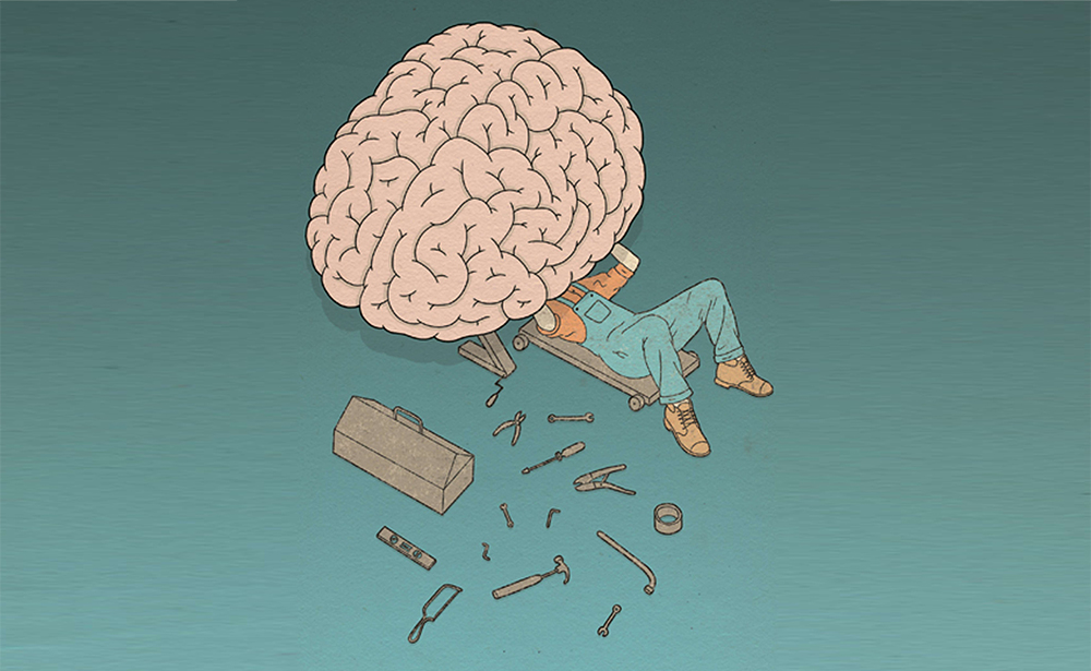 4 cuốn y học thường thức về não bộ giúp bạn khám phá tiềm năng của bộ não  