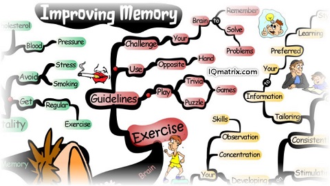 Cải thiện trí nhớ: Trí nhớ và sự suy giảm trí nhớ (Phần 1)