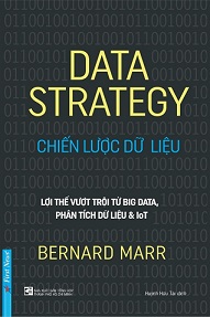 Chiến lược dữ liệu 