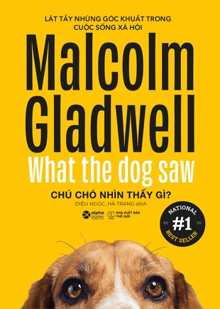 Chú chó nhìn thấy gì