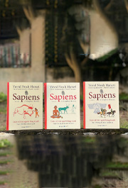 Bộ: Sapiens - Lược sử loài người bằng tranh