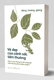 Vẻ đẹp của cảnh sắc tầm thường 