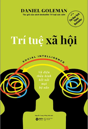 Trí Tuệ Xã Hội - Social Intelligence