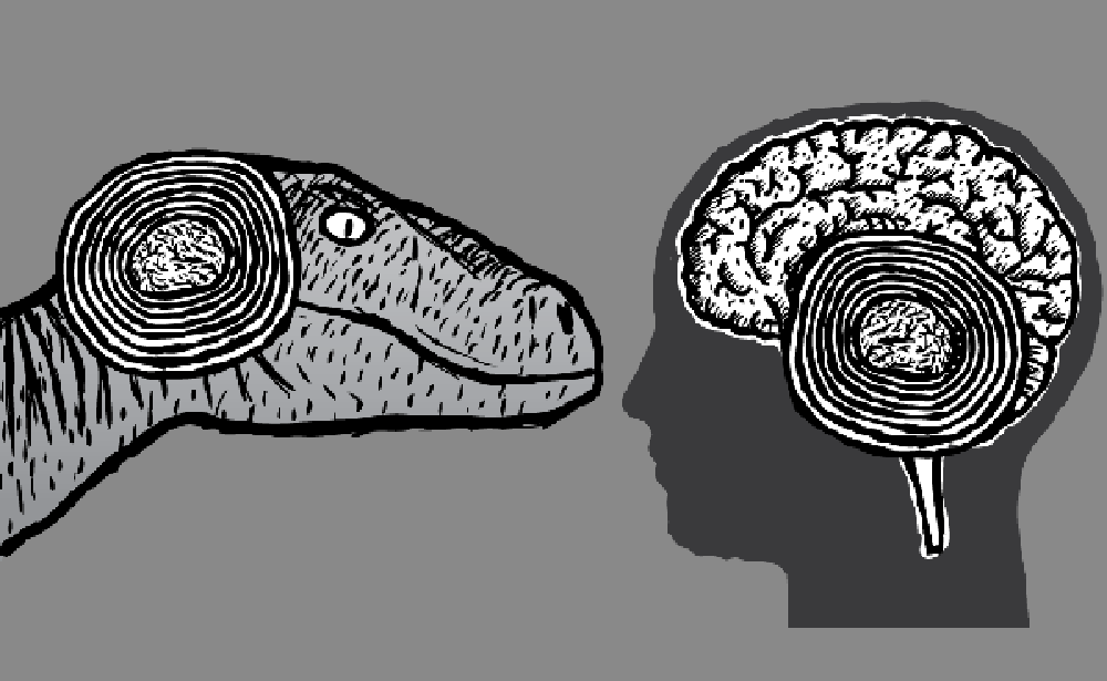 Gốc rễ hành vi và cảm xúc: Chúng ta là những con bò sát?