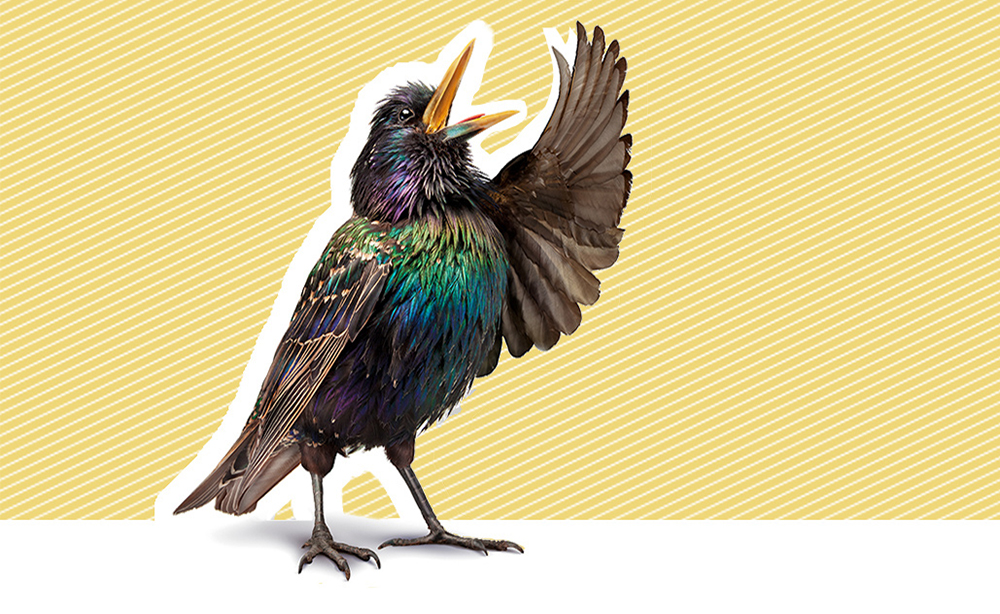 Trở thành bậc thầy thuyết trình bằng chính câu chuyện của bạn