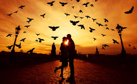 Bảy quy luật kì bí trong tình yêu