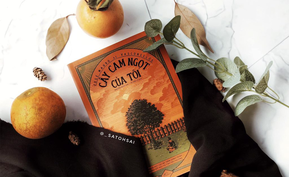 Cây cam ngọt của tôi: Đôi khi người ta làm tổn thương nhau bằng những câu nói vô tình