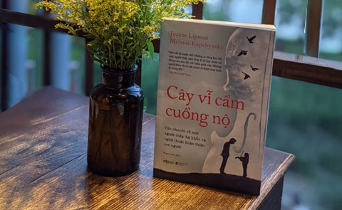 Cây vĩ cầm cuồng nộ - Khi bài học không chỉ nằm trong lớp học