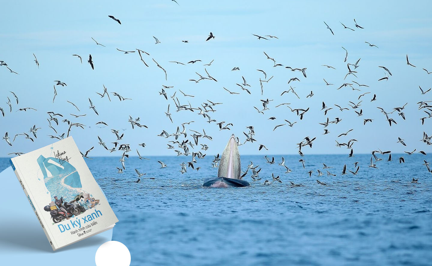 Cá voi ở biển Đề Gi và vấn đề “cứu biển”