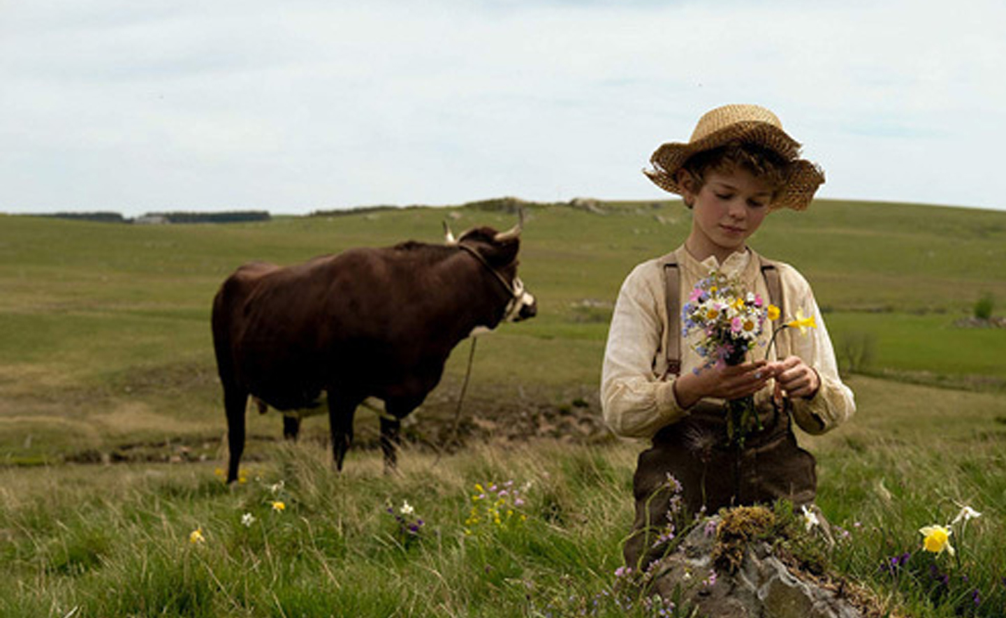 Không gia đình - Tác phẩm kinh điển và sự trở lại ấn tượng với diện mạo mới