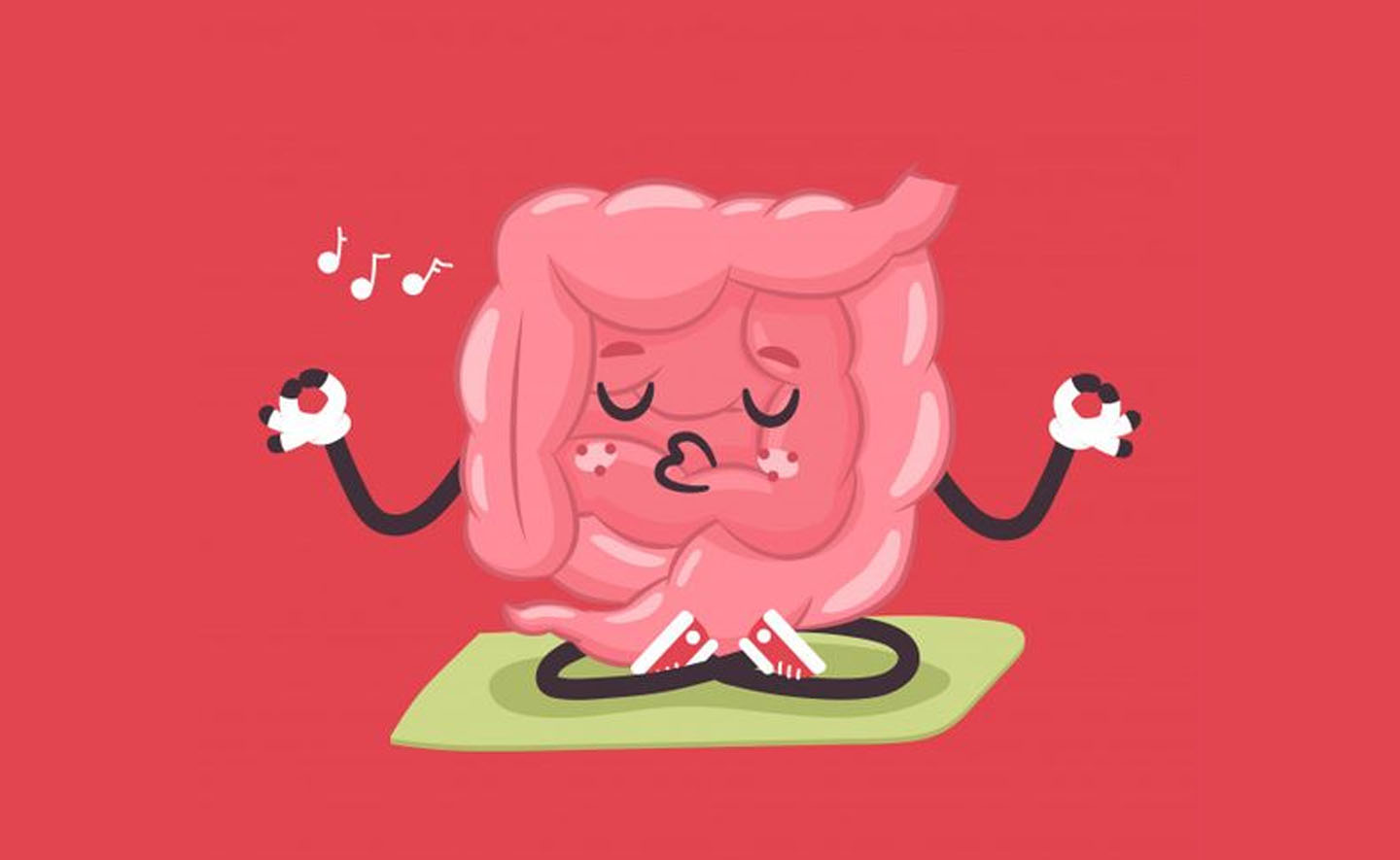 Có thể bạn chưa biết: Ruột - bộ não thứ hai đang áp đảo bộ não thứ nhất