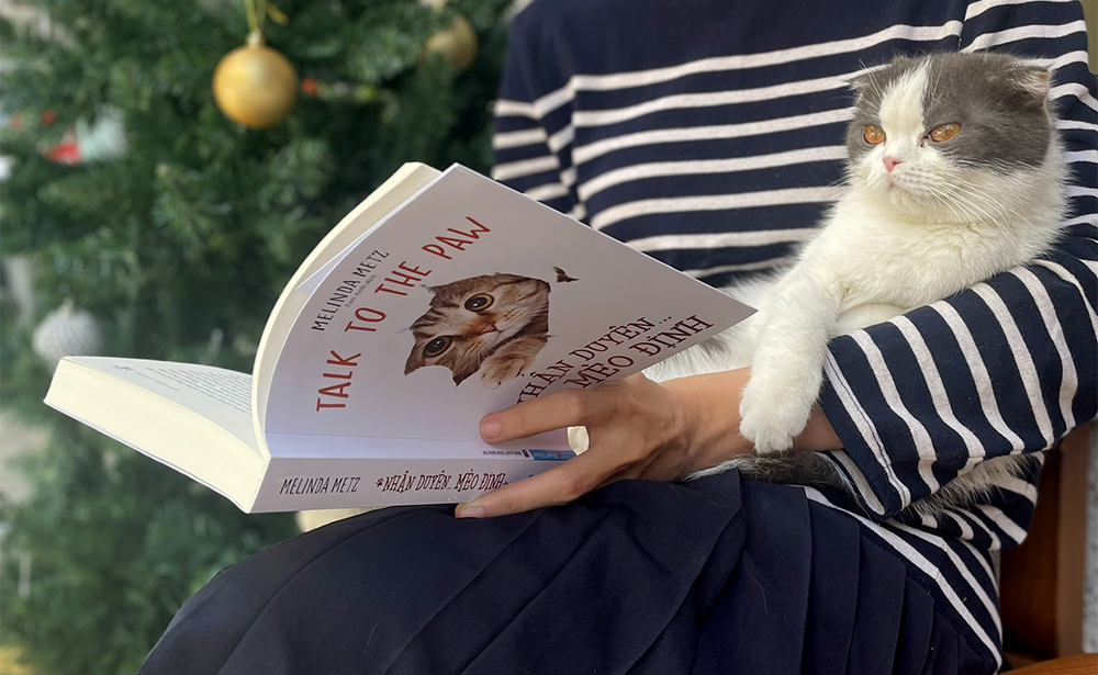 Nhân duyên mèo định - Hãy yêu thương nhau khi cuộc đời quá ngắn