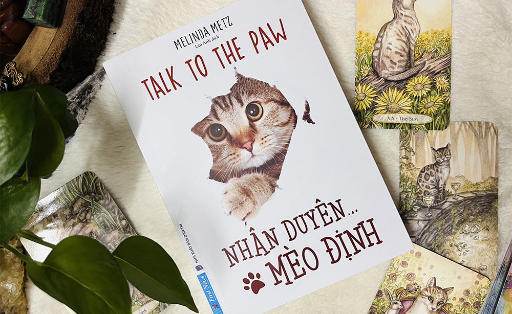 Nhân duyên… mèo định: Nếu tình duyên khó, hãy để mèo lo!