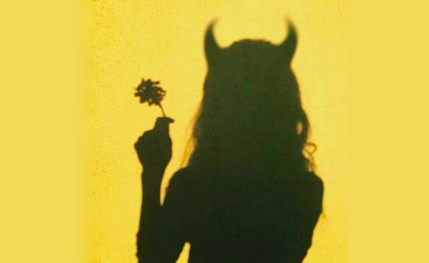 Từ nghiên cứu về loài chim đến hoang tưởng về việc