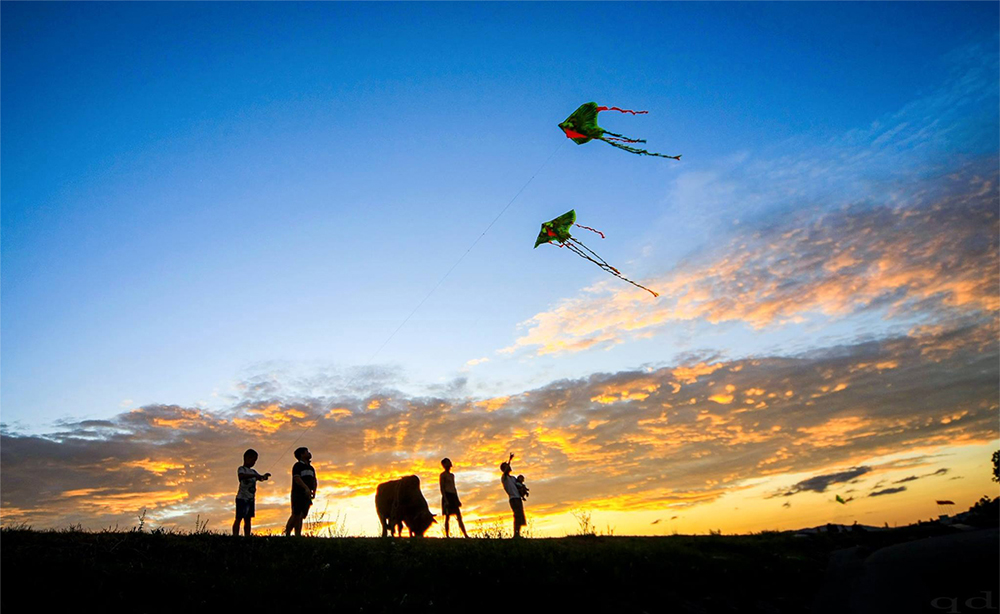 Cánh đồng nhà thơ Đỗ Trung Quân thuở bé thả diều ở đâu?