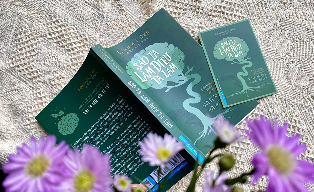 Sao ta làm điều ta làm - Giúp bạn quyết định nên làm gì, và làm như thế nào trong bối cảnh xã hội phức tạp bao quanh