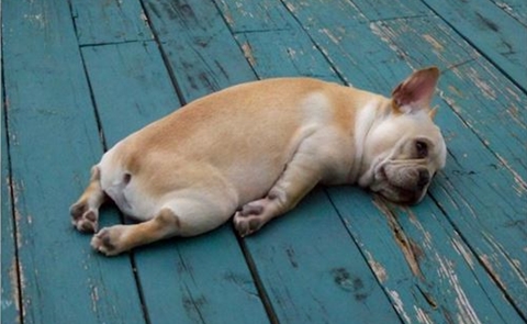 Bạn đang ỳ trệ? Đây là chỉ dẫn nhanh để bạn chịu bắt tay vào làm việc ngay lập tức