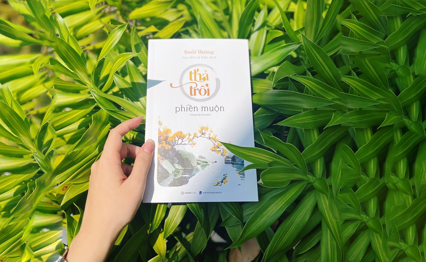 Thả trôi phiền muộn để có một cuộc đời hạnh phúc