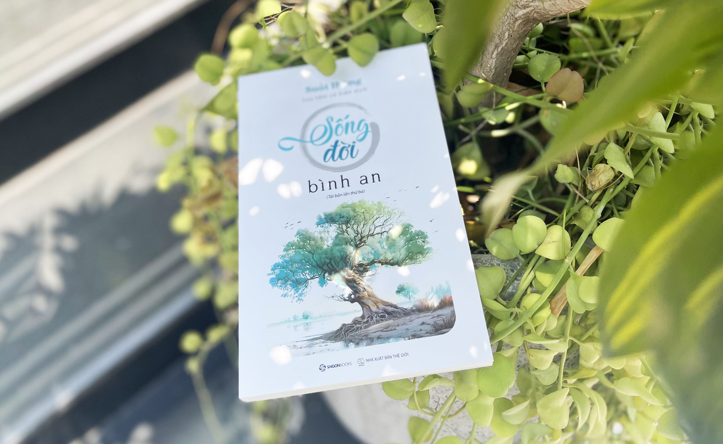 Sống đời bình an - Hạt mầm tốt đẹp trong thế giới rộng lớn