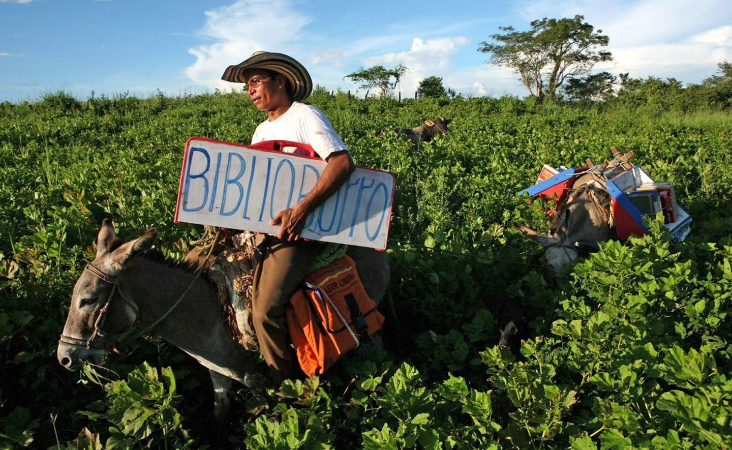 Biblioburro - Thư viện trên lưng những chú lừa tại Colombia