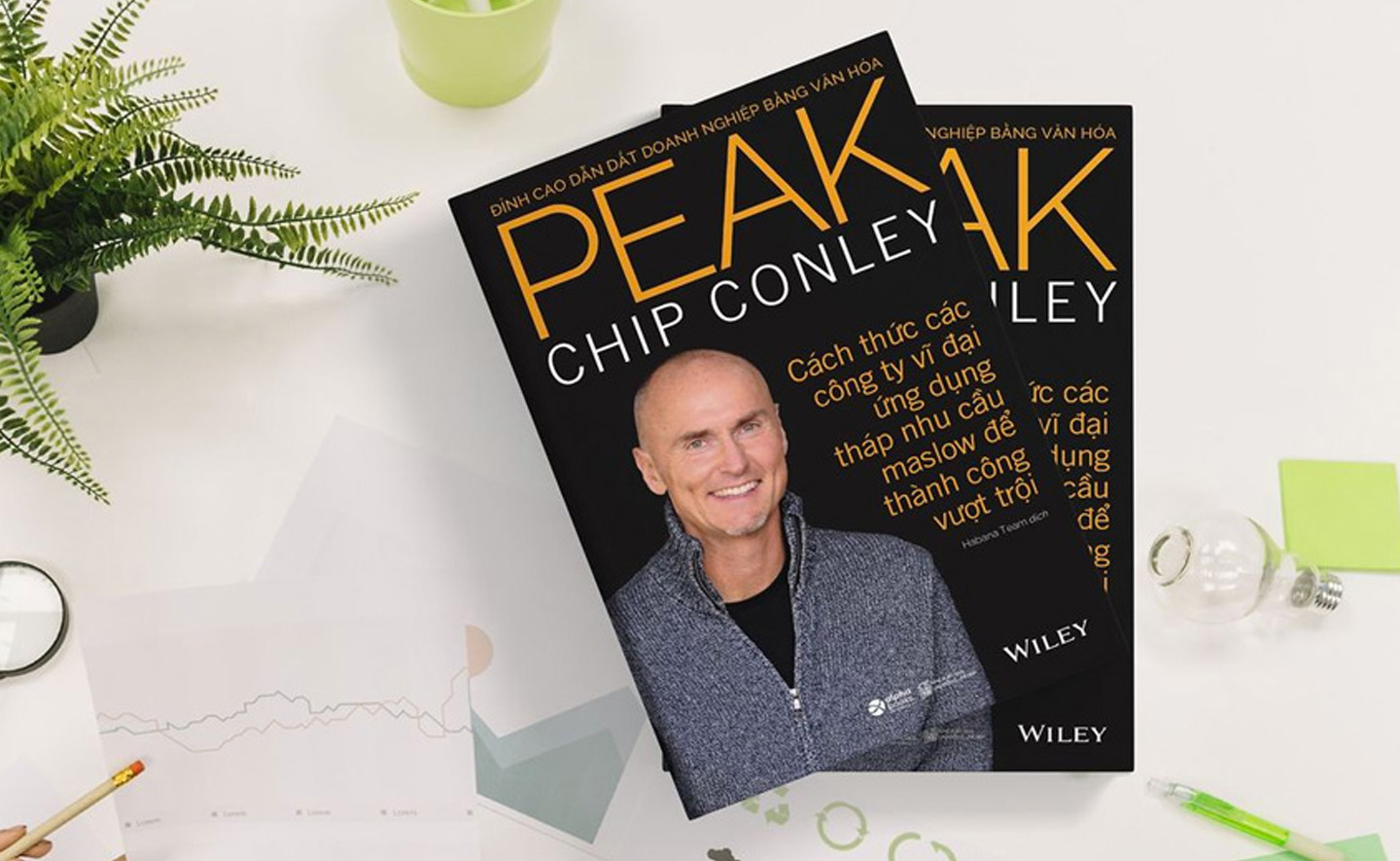 Cuốn sách hướng dẫn bạn cách áp dụng Tháp Nhu cầu Maslow về động lực của con người vào thực tiễn kinh doanh