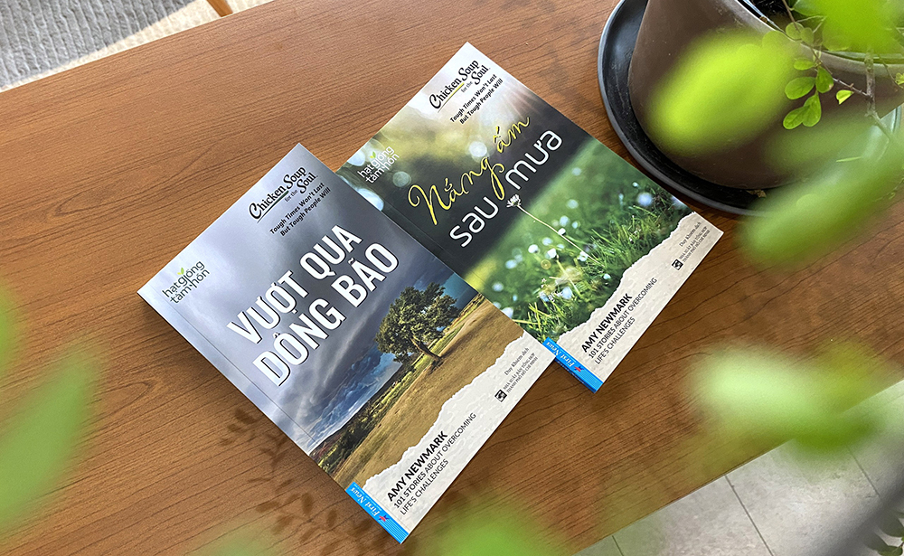 Hạt giống tâm hồn - Sau đau khổ, con người nhìn thấy điều gì?