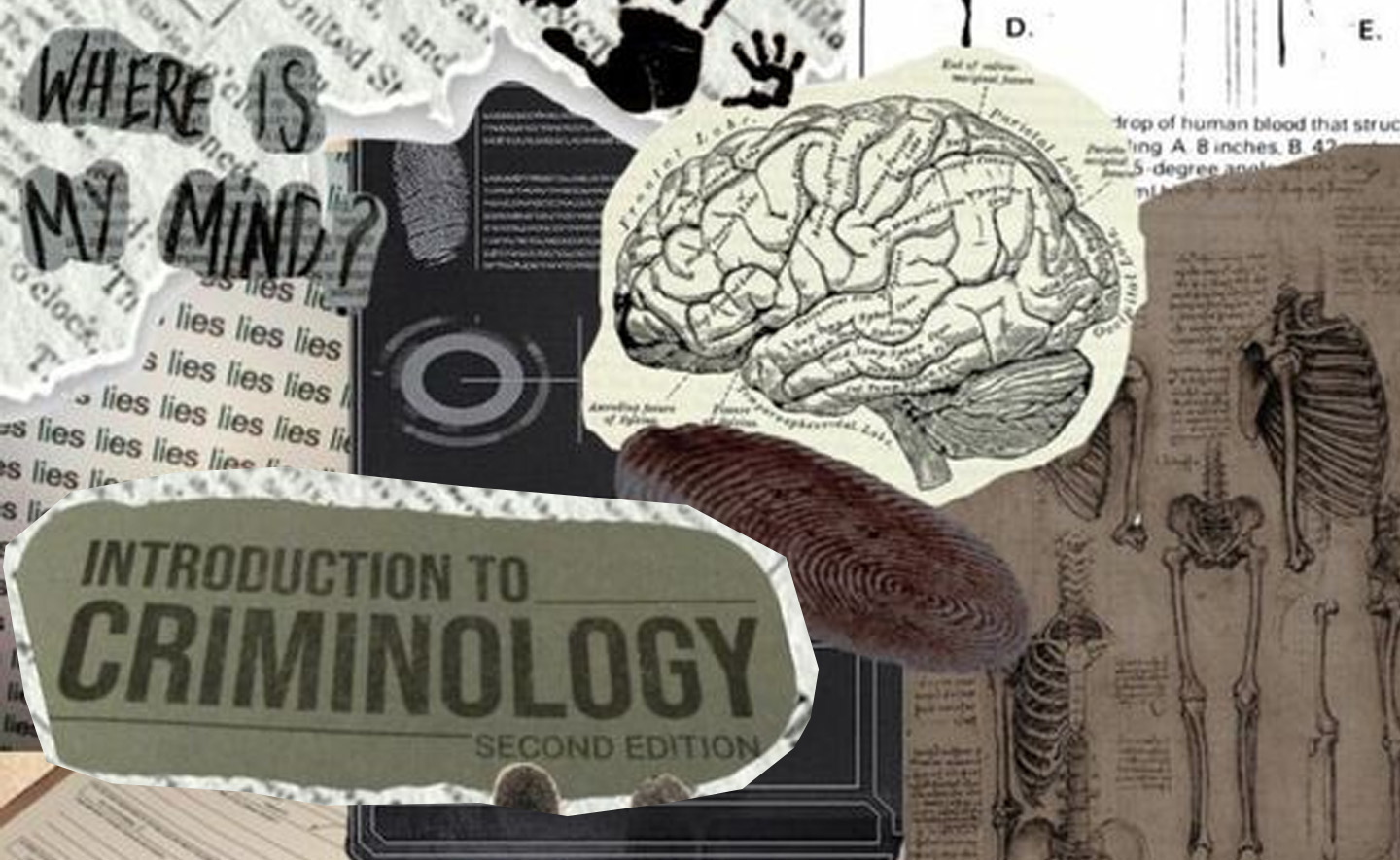 5 cuốn sách về tâm lý tội phạm hay với những hiểu biết đen tối về động cơ phạm tội