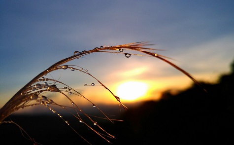 5 điều cần làm trong cuộc đời (*)