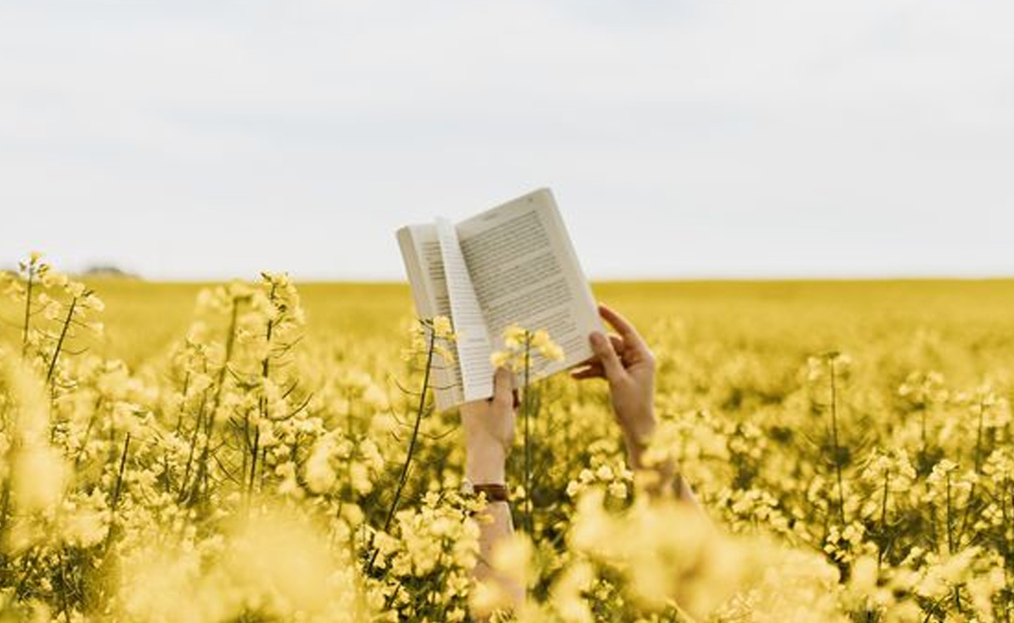 Những tác giả nổi tiếng nói gì về tình yêu đọc sách?