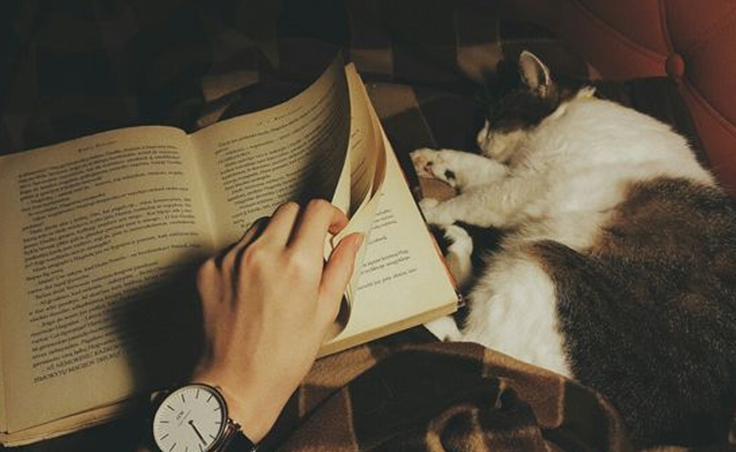 5 cuốn sách hay nhất để đối phó với lo âu và trầm cảm