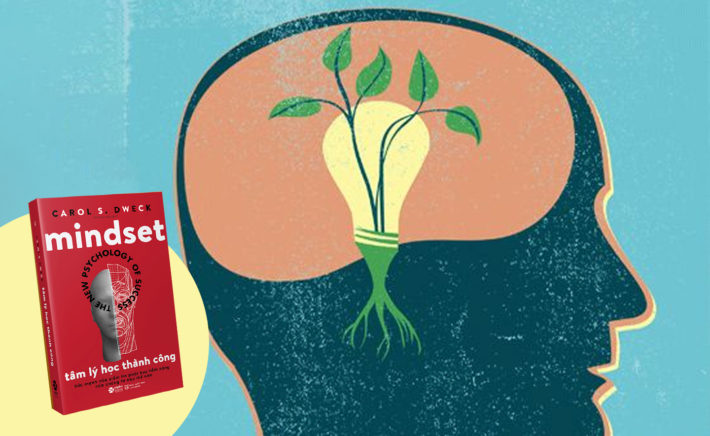 5 bài học từ cuốn sách tâm lý học ứng dụng “Mindset” 