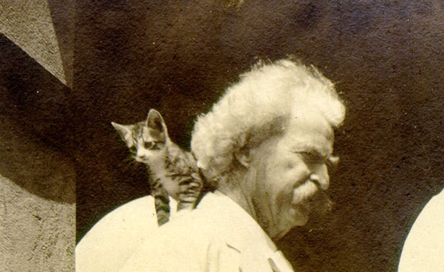 Mark Twain thì cũng là “con sen”: Những câu chuyện thú vị về Mark Twain và những chú mèo