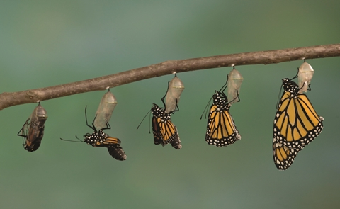 5 cuốn sách sẽ biến bạn trở thành con người hoàn toàn khác