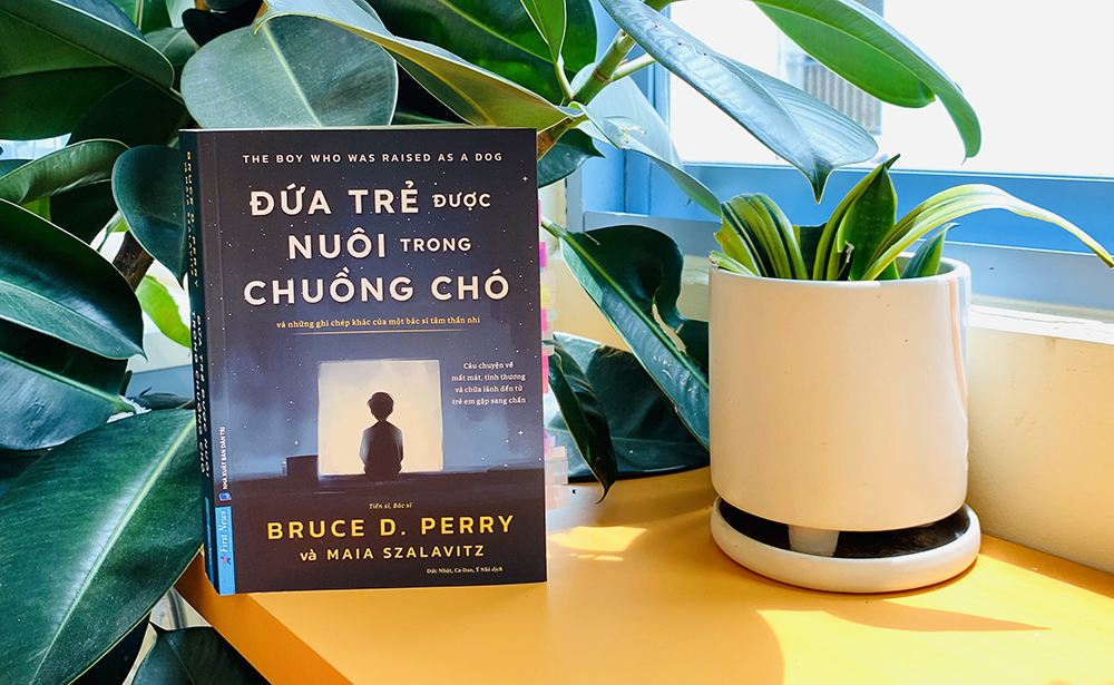 Đứa trẻ được nuôi trong chuồng chó - Liệu pháp chữa lành hiệu quả nhất là tình yêu thương