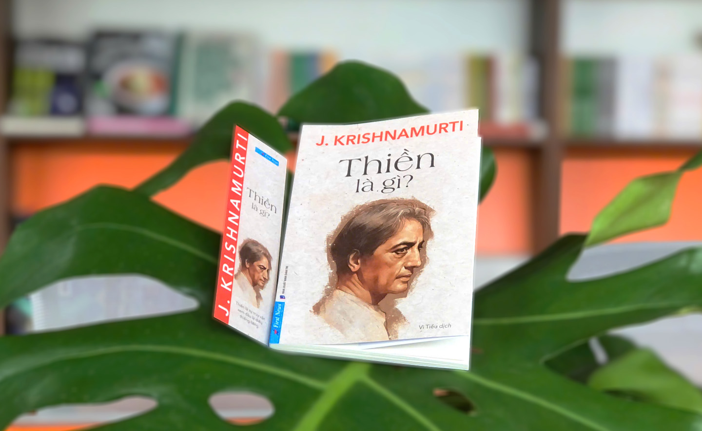 Tìm hiểu về nền tảng, cội nguồn của thiền thông qua những trích dẫn ngắn gọn của triết gia J. Krishnamurti