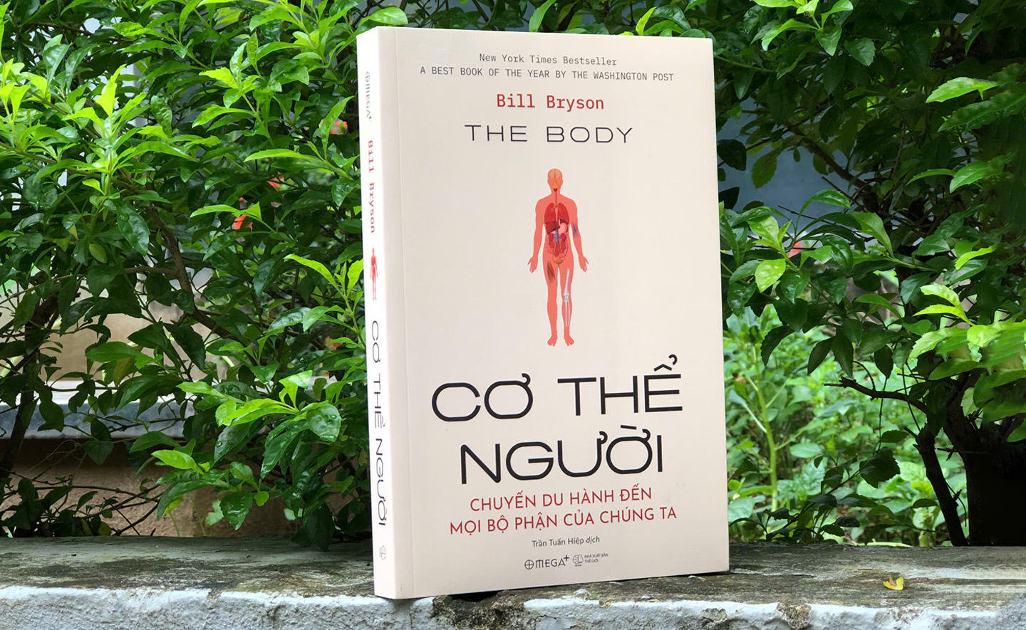 Cơ thể người: Chuyến du hành đến mọi bộ phận của chúng ta