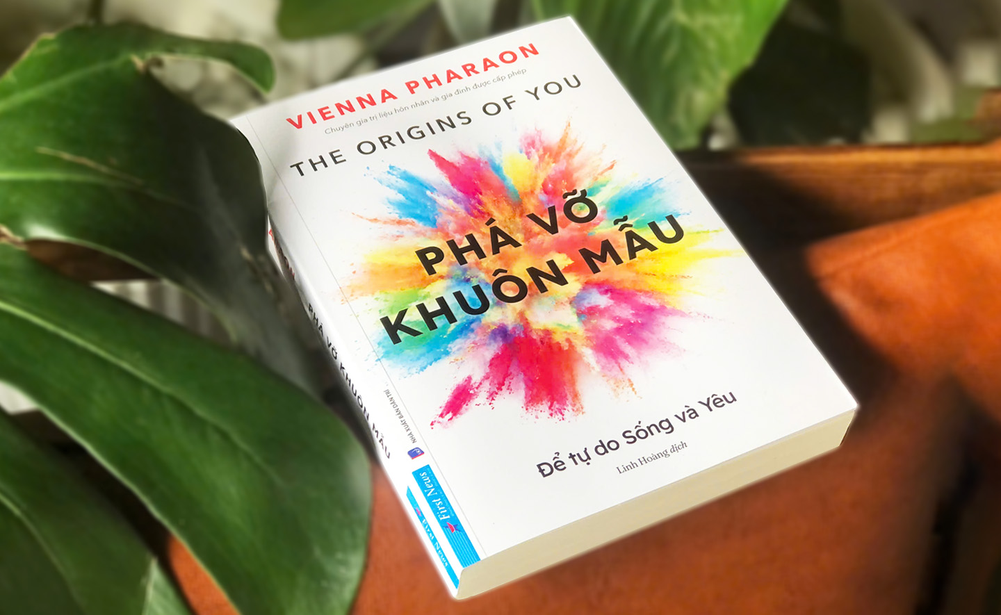 Phá vỡ khuôn mẫu: Mở ra hành trình chữa lành, giúp ta hiểu về gia đình cội nguồn