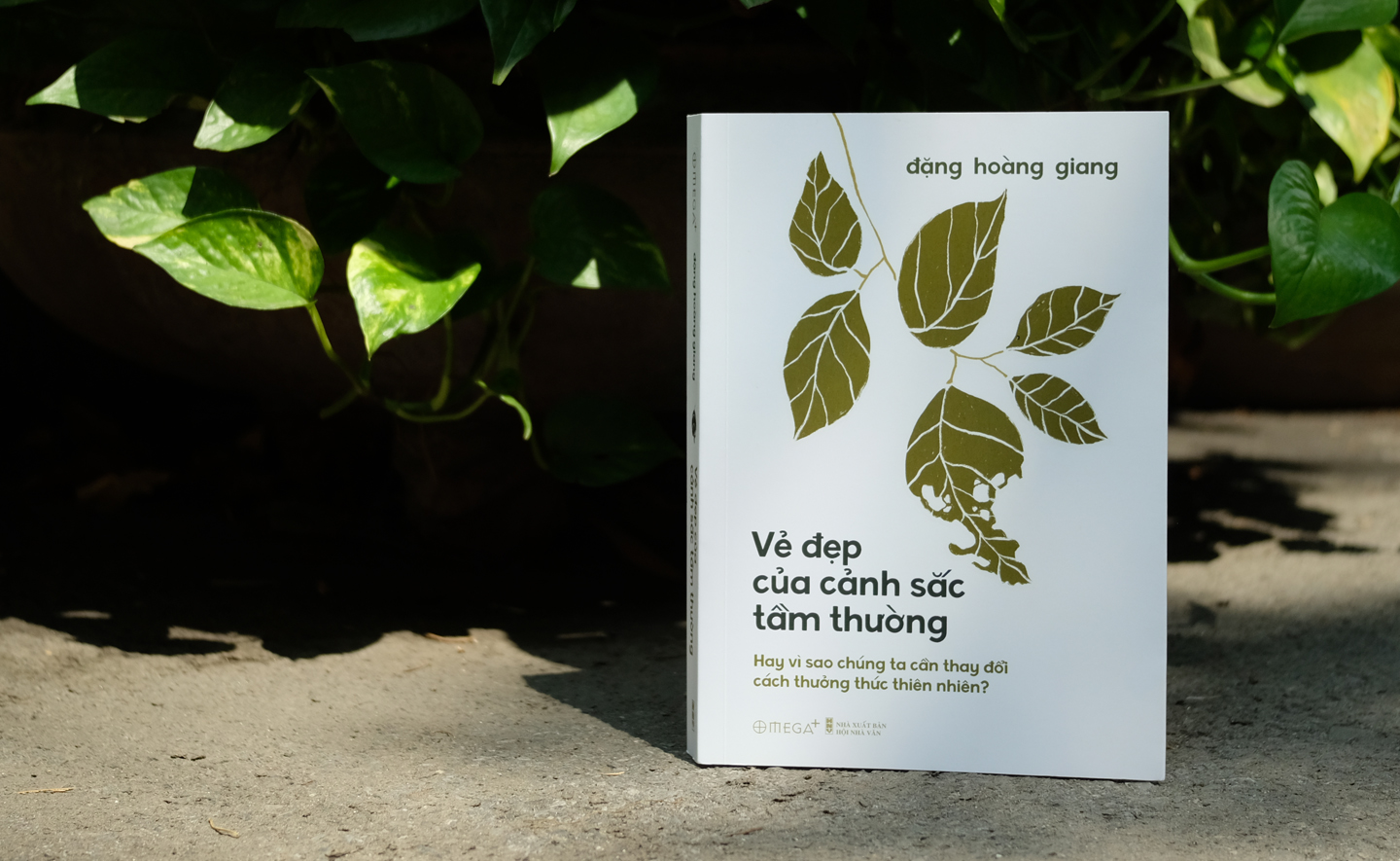Vẻ đẹp của cảnh sắc tầm thường: Hay vì sao chúng ta cần thay đổi cách thưởng thức thiên nhiên?