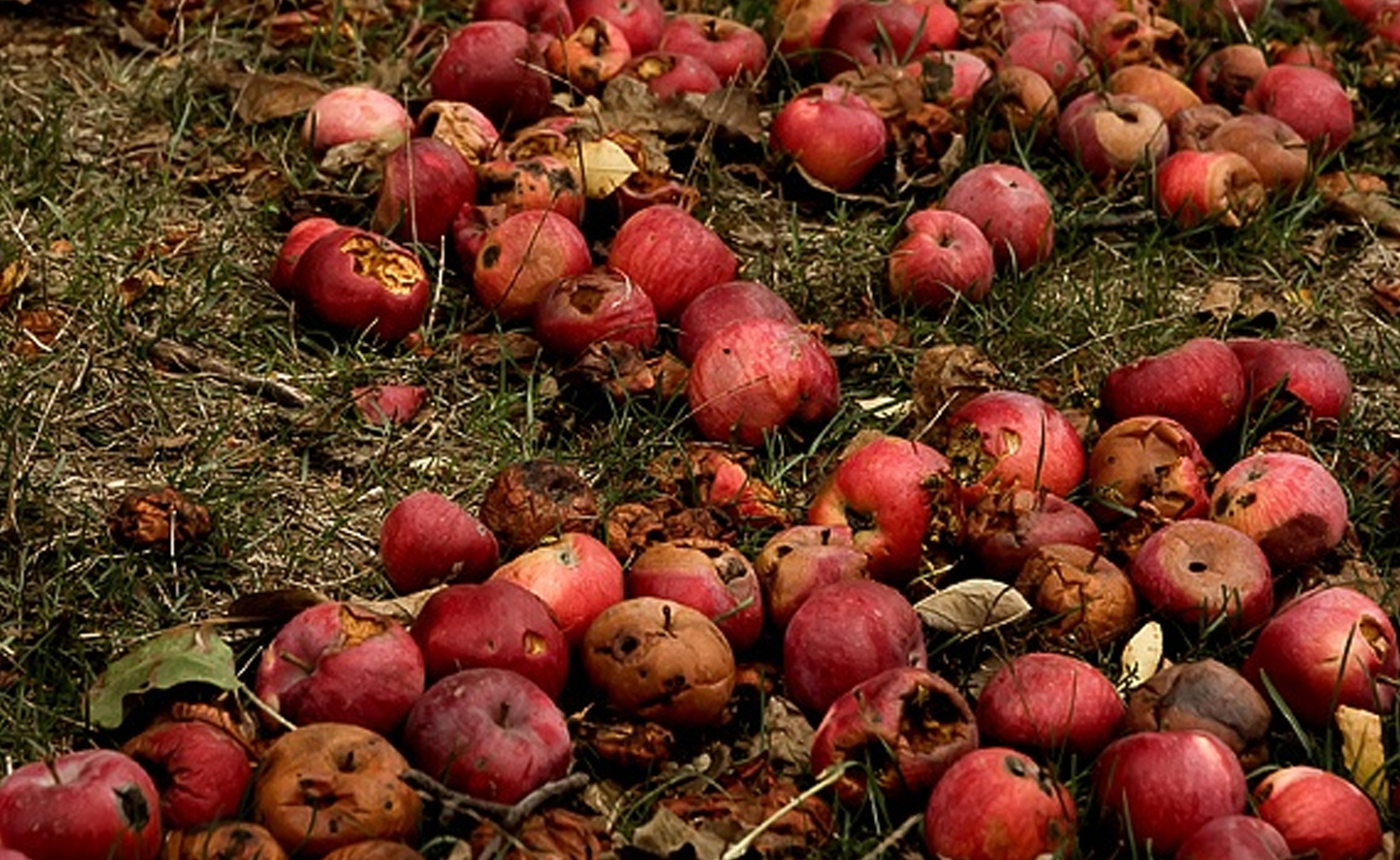 Nếu có cách tiếp cận hợp lý, cái