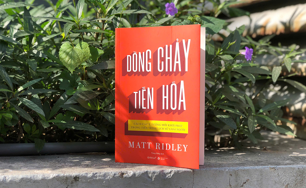 Dòng chảy tiến hóa - Cách các ý tưởng mới khởi phát trong tiến trình lịch sử loài người