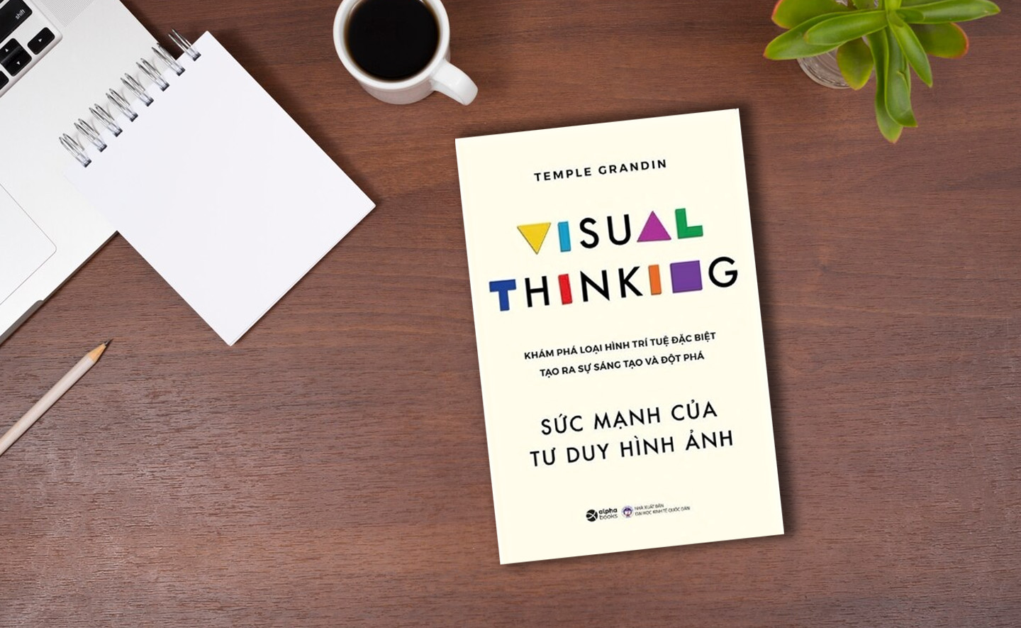 Sức mạnh của tư duy hình ảnh: Cuốn sách biến đổi nhận thức về các cách mà bộ não được kết nối