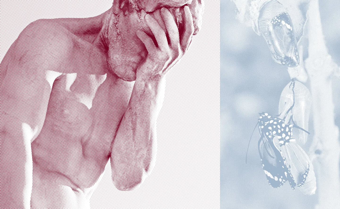 Phải chăng triết học đã đánh mất sức mạnh biến đổi của nó?