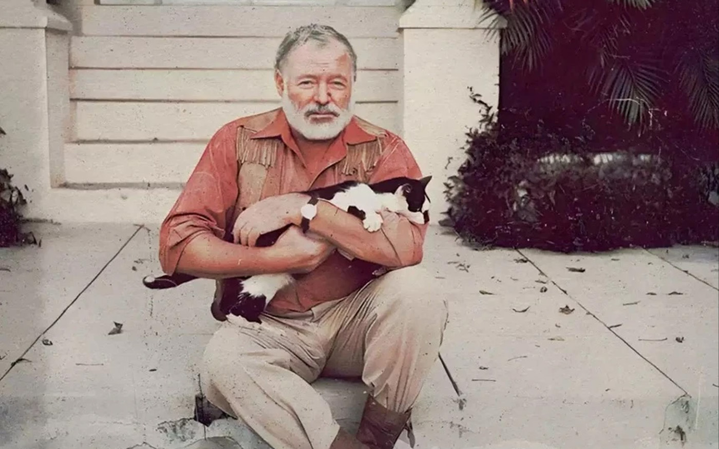 Các nhà văn nổi tiếng đọc gì khi 'bí ý tưởng'?