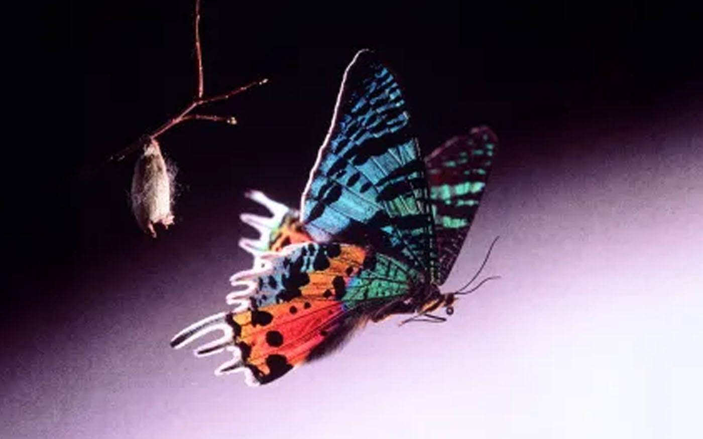 5 đặc điểm tính cách lớn bạn có thể thay đổi bằng cách luyện tập