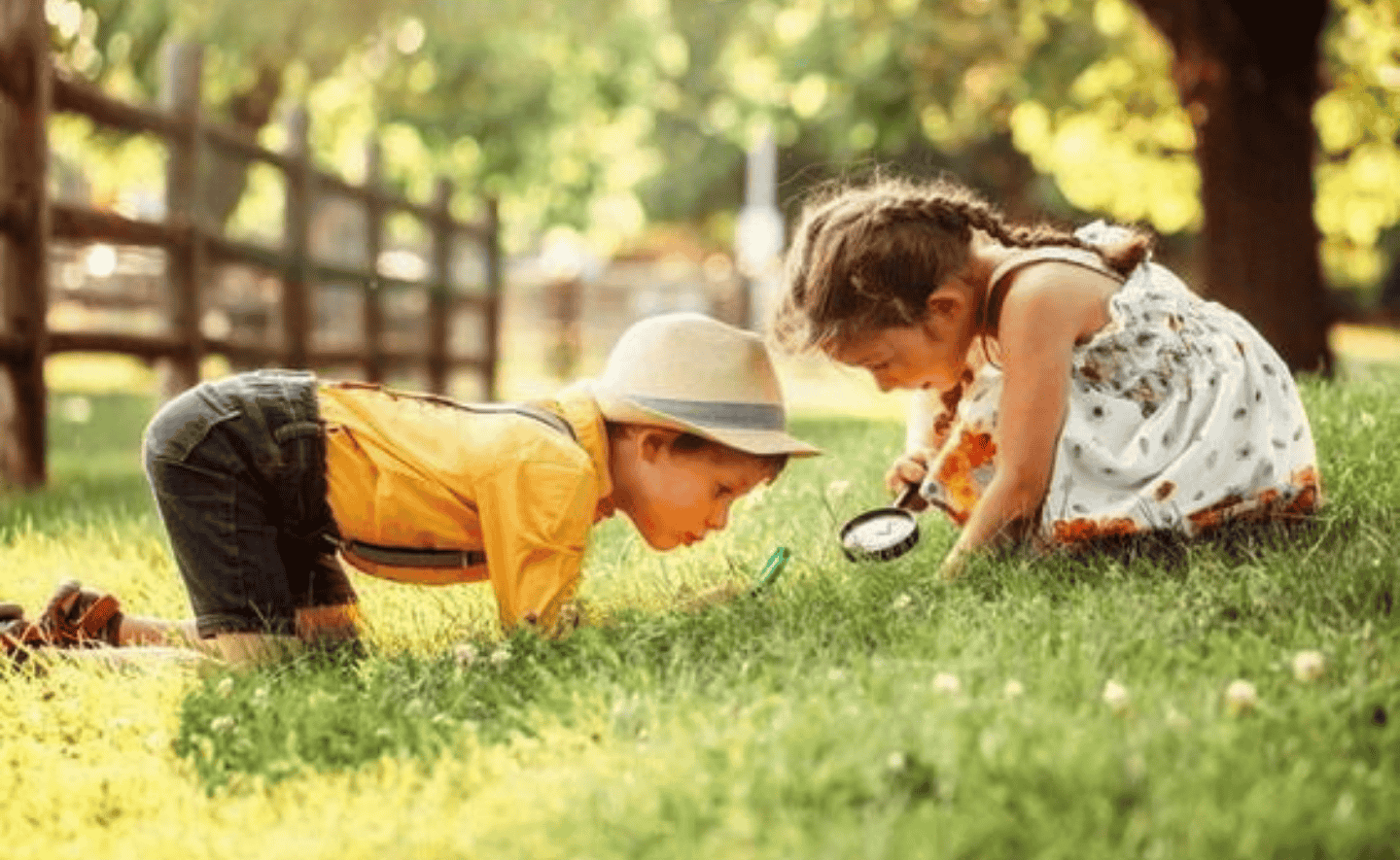 Cách sự tò mò tái cấu trúc não bộ của bạn để thích nghi với thay đổi