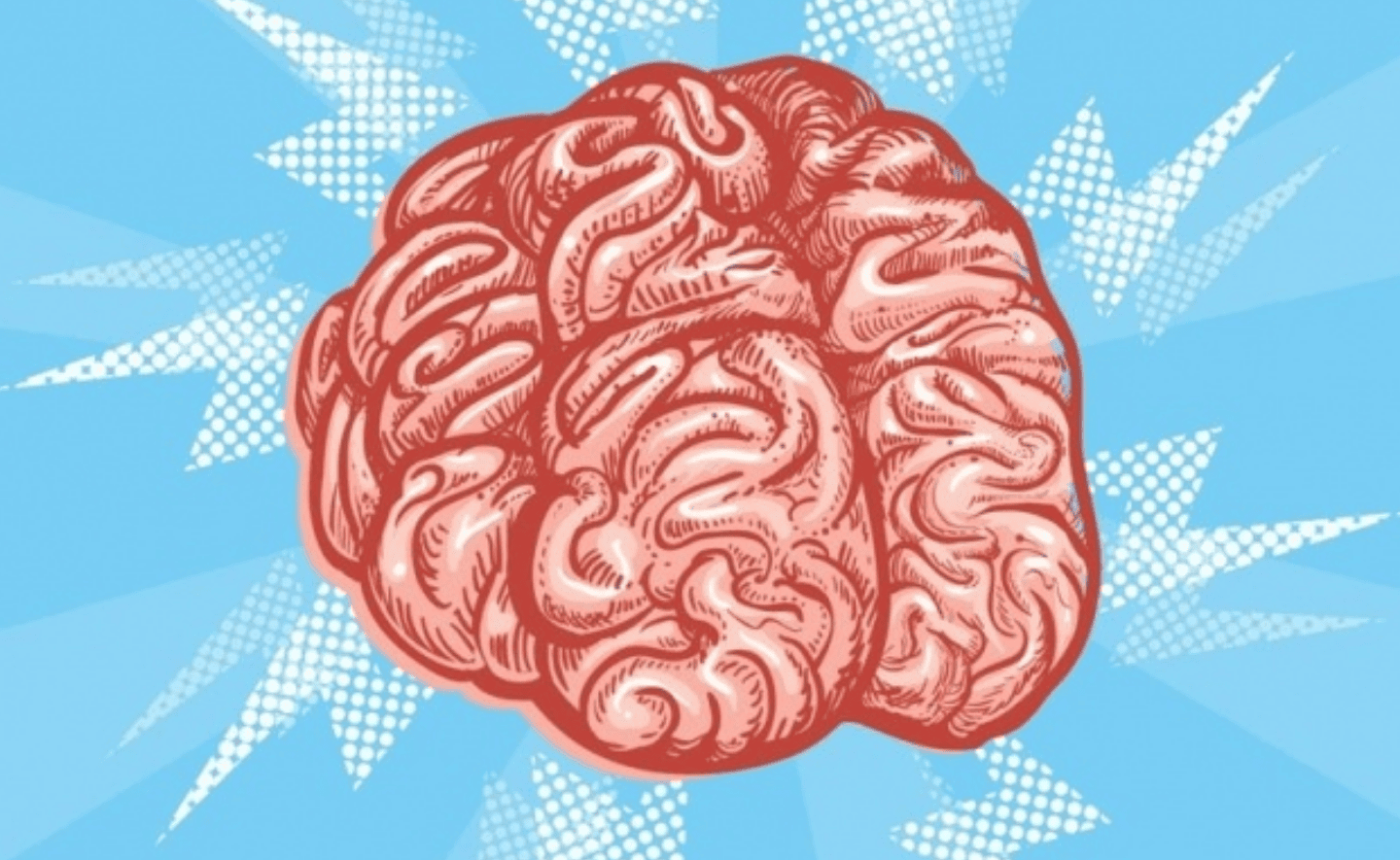 Não bạn vốn không được tạo ra để đọc