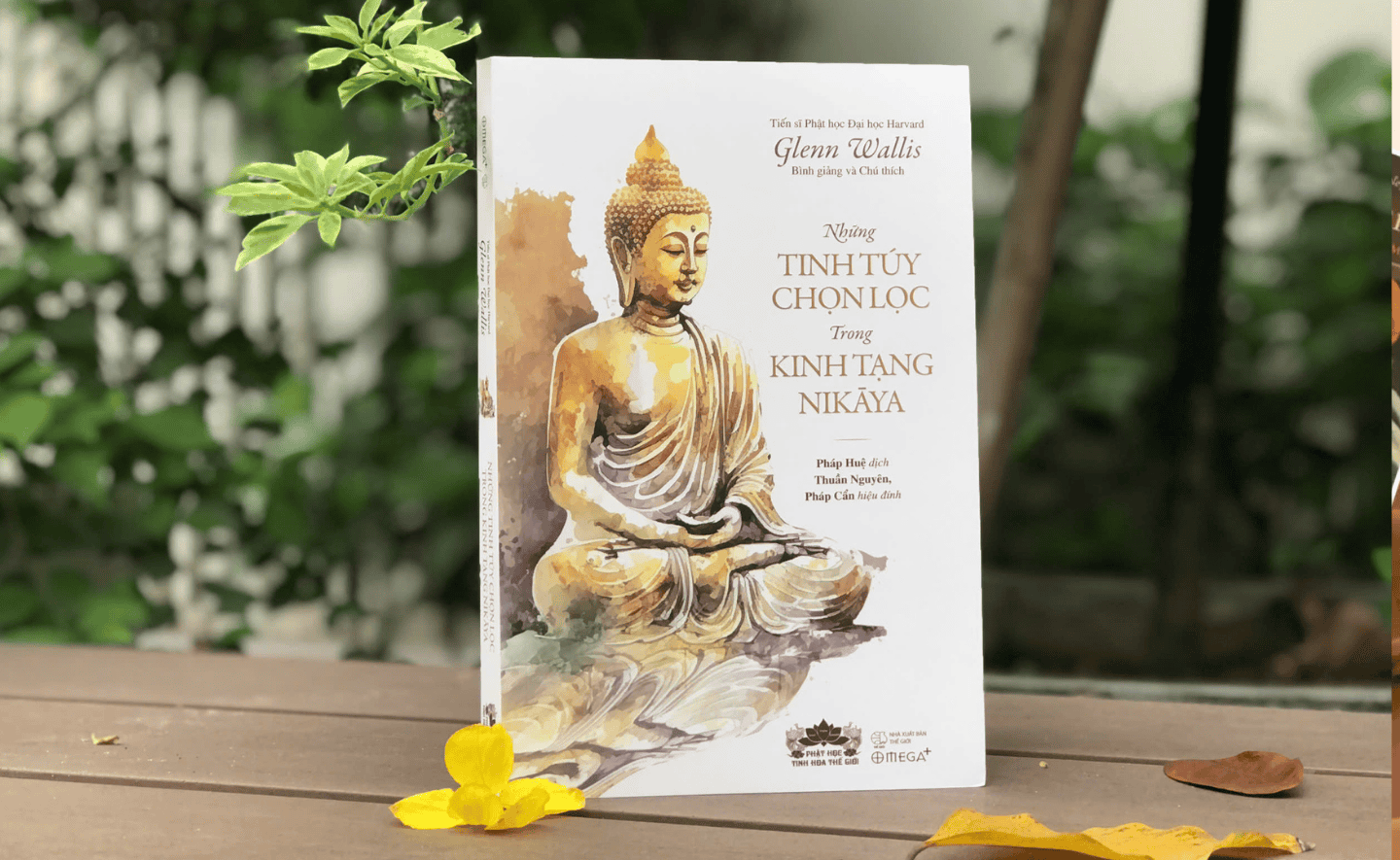 Những tinh túy chọn lọc trong kinh tạng NIKĀYA