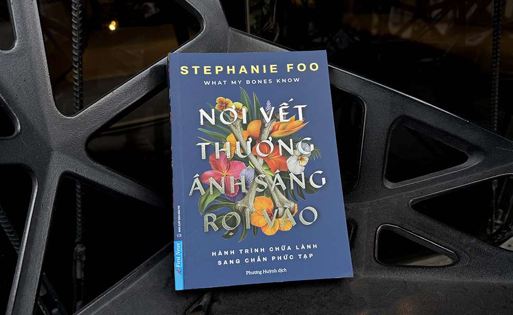 Nơi vết thương ánh sáng rọi vào - Cuốn sách tiên phong về Sang chấn Phức tạp
