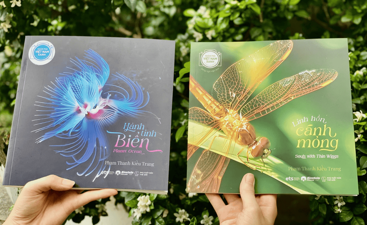 Khám phá Việt Nam xanh - Bộ sách ảnh song ngữ đầy cảm xúc về thiên nhiên Việt Nam