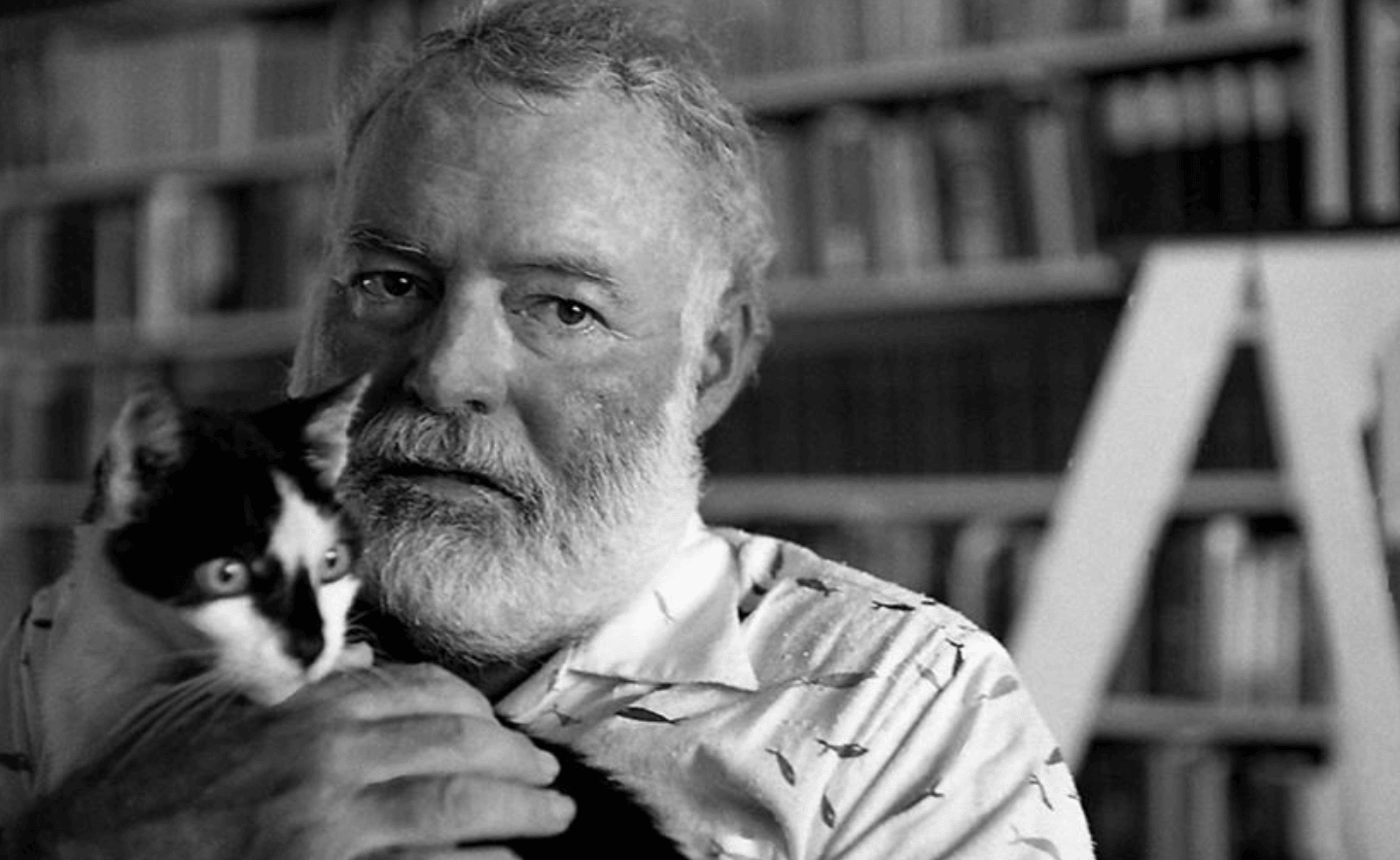 Ernest Hemingway vẫn là nhà văn Mỹ nổi tiếng nhất thế kỷ 20?